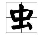 虫字旁有什么字,虫字旁有什么字图2