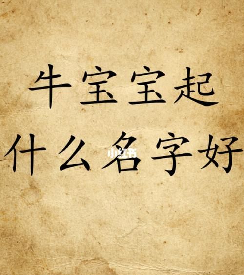 牛字旁的字名字大全,带牛字的小名有哪些男孩图2