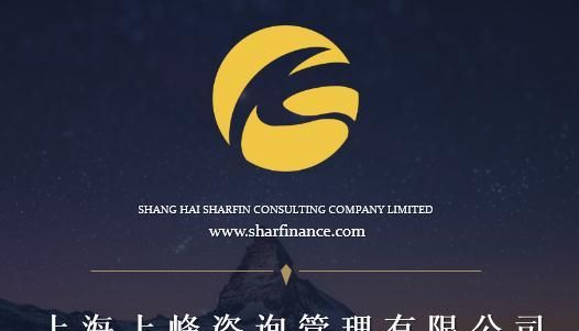 商务调查咨询公司,深圳中晟融创信息咨询有限公司是干什么的图4