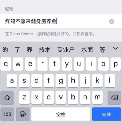 苹果用户名搞笑,苹果笔记本的接口叫什么图3