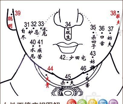 女痣的位置与命运图,女人面相痣图解大全 高清晰图4