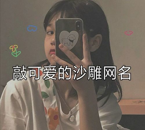 沙雕网名女生沙雕昵称,沙雕网名女生搞怪短一点图3