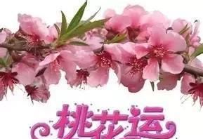 周易免费八字测桃花,周易算桃花运图2