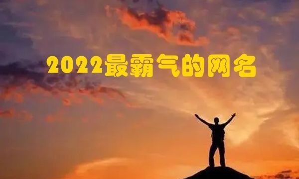 最霸气的网名独一无二,什么网名最好听又霸气 独一无二霸气十足的网名女图1