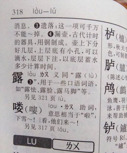 露组词 多音字,露的多音字怎么组词语图1