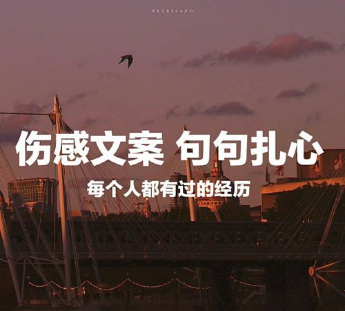 伤感句子文案,女孩伤感文案(文案短句干净治愈)句子橘图2