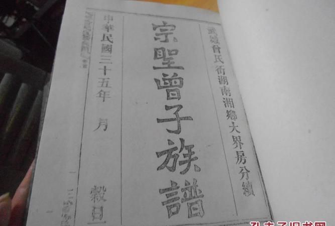 名人家谱摭谈pdf,北京图书馆能查姓氏家谱图4