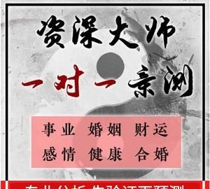 杨老师紫微免费算命,紫微星免费算命图3