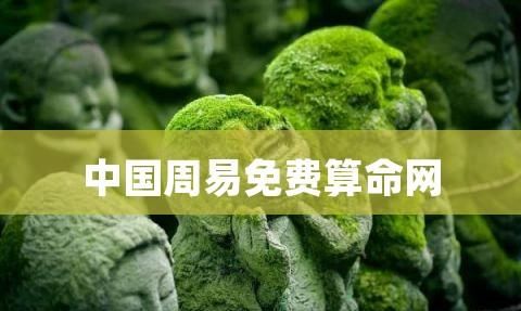 中国周易网官方网站,周易八字起名网官网测名图4