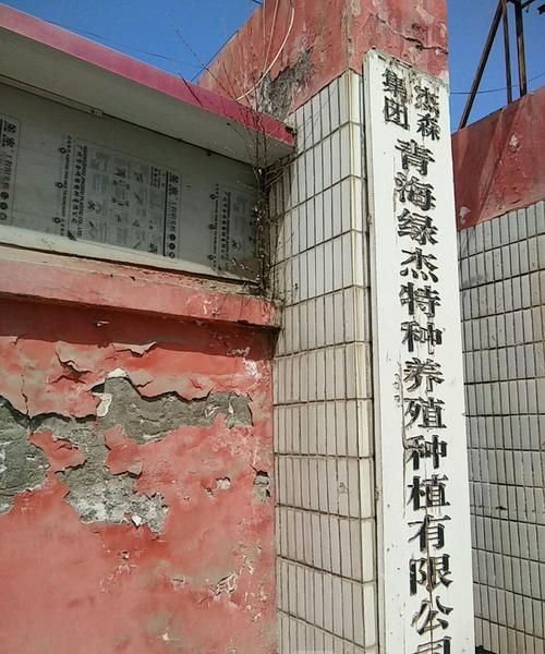 冯全忠 青海杰森集团,杰森花园是虎台双学区吗图2