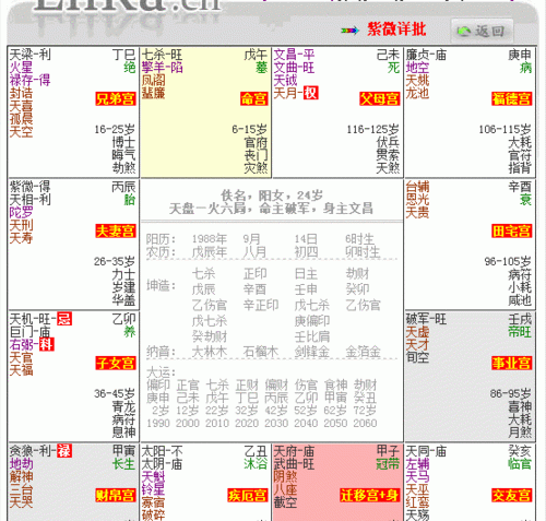 紫微斗数命盘查询,紫微斗数命盘怎么看?应该先看什么?图1