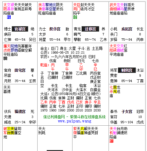 紫微斗数命盘查询,紫微斗数命盘怎么看?应该先看什么?图3