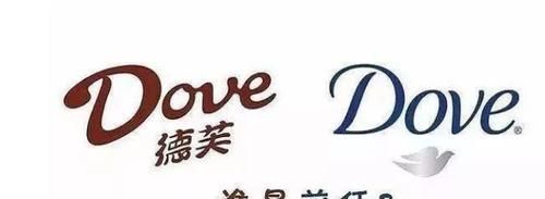 dove什么意思,信仰的真正含义是什么图4