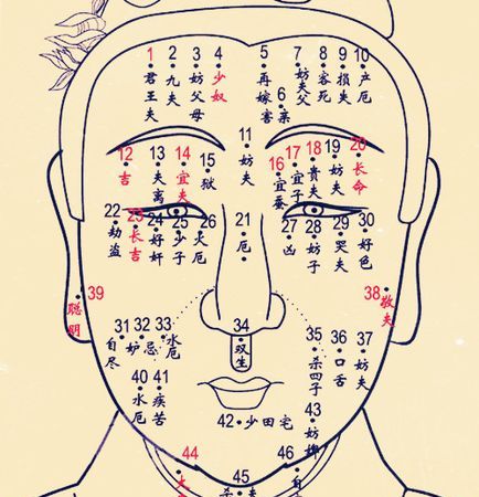 女人痣相图解十大福痣,女人痣相图解十大福痣图2