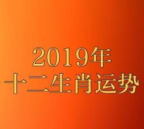 2019什么生肖,是什么属相图4