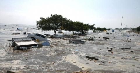 梦见地震海啸但是人安全,梦见地震是什么意思图1