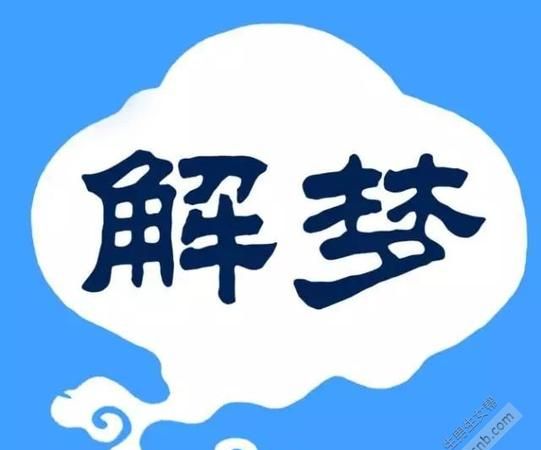 查梦册解码图片