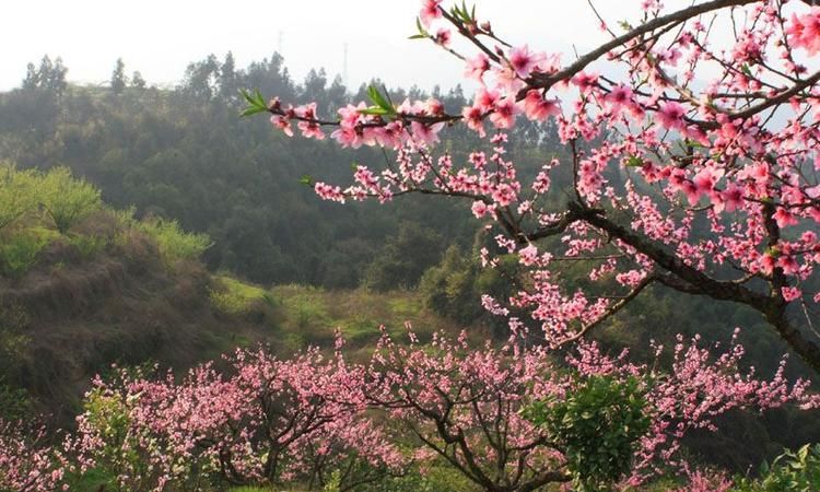 2013年3月10日,3月0日9点2分出生女孩姓云图4