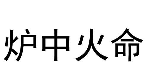 炉中火命是什么意思,炉中火命什么意思图1