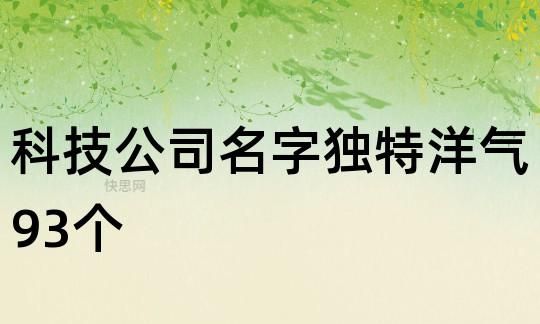 科技公司取名字,100简单大气的科技公司名字图3