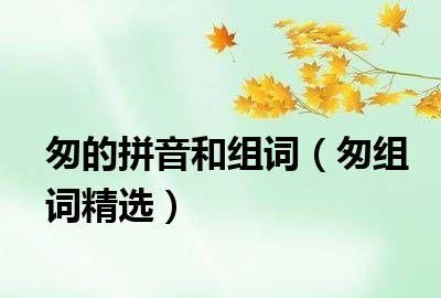 匆组词组,匆字组词图4