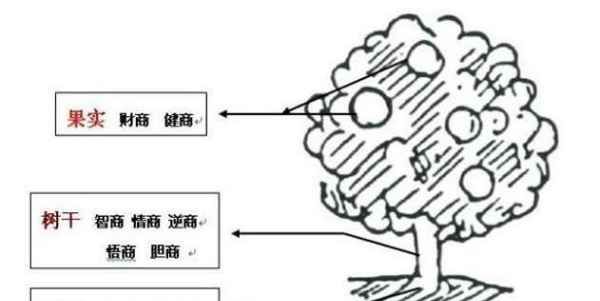 情商测试国际标准版,情商测试题国际标准60题在线测试图10