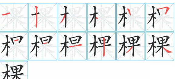 棵的笔顺,棵字笔顺笔画图1