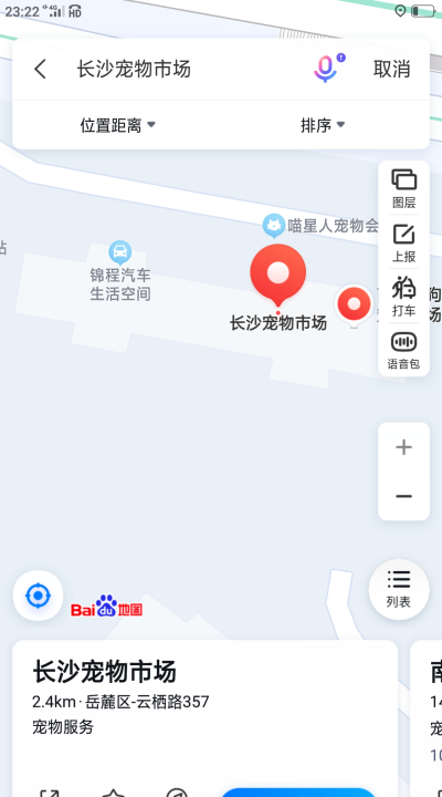 万宁猫狗市场,东莞最大的猫市场在哪里图3