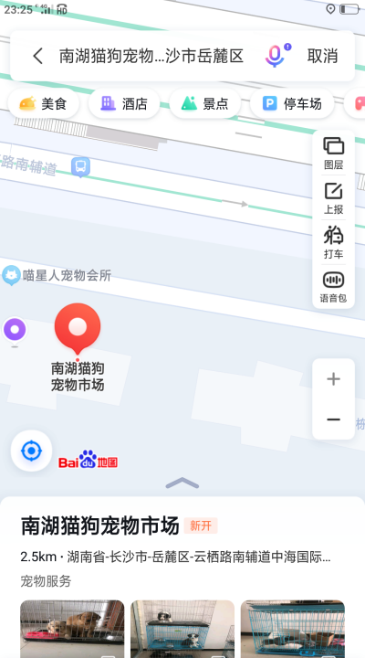 万宁猫狗市场,东莞最大的猫市场在哪里图6