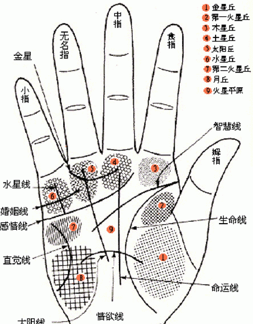 看手相算命,看手掌纹算命运是真的吗图4