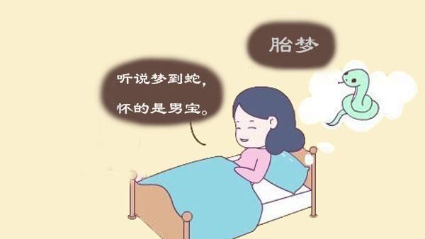 这些胎梦预示着贵子降临
,预示生贵子的胎梦富大贵的胎梦图3