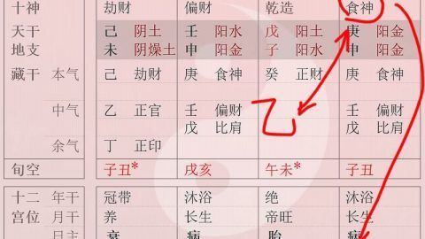 女命八字无水说明什么
,女命八字无水说明什么图2