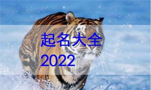 2022属虎男孩大气有涵养的名字
,2022属虎男孩大气有涵养的名字图4