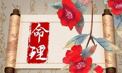 己巳日出生的大人物
,生日9月9日的名人图3