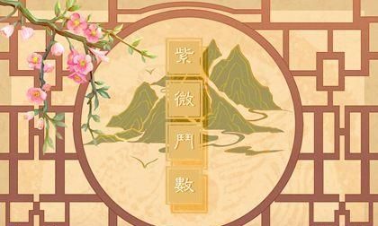 紫薇命盘免费合婚
,姻缘八字合婚免费测试图2