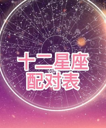 十二星座夫妻配对统计表
,星座夫妻配对统计图表图1