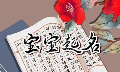 虎年宝宝取什么名字好,虎年生的孩子叫什么名字好图1