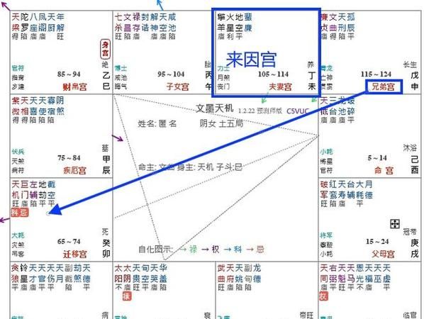 紫微斗数看配偶超准,紫微斗数看配偶超准男命图5