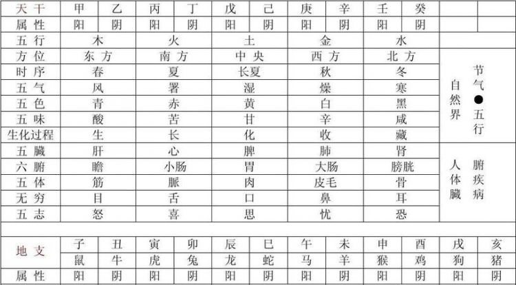 出生日期查五行,输入出生日期查五行图3