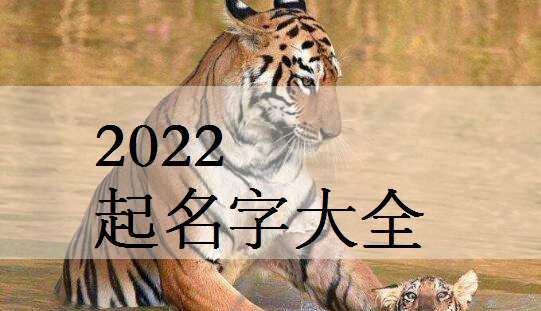 2022虎年宝宝取名,2022属虎的名字带什么字好图1