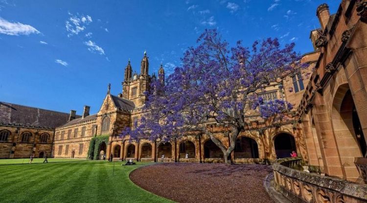 sydney是哪个大学,澳洲unsw是什么大学图4