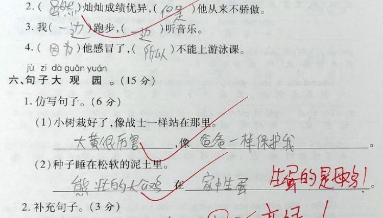 他组词造句,他字组词一年级简单图1