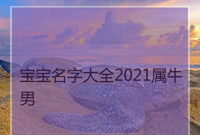 男孩子英文名字大全202,2022最火英文名男图4