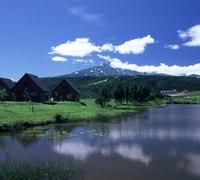 免费头像图片大全风景,微信头像花草风景图片图2