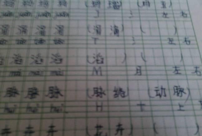 粘组词怎么组过年的年怎么组词,粘怎么组词(两个字)图2