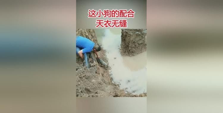 天衣无缝的意思,天衣无缝是什么意思图1