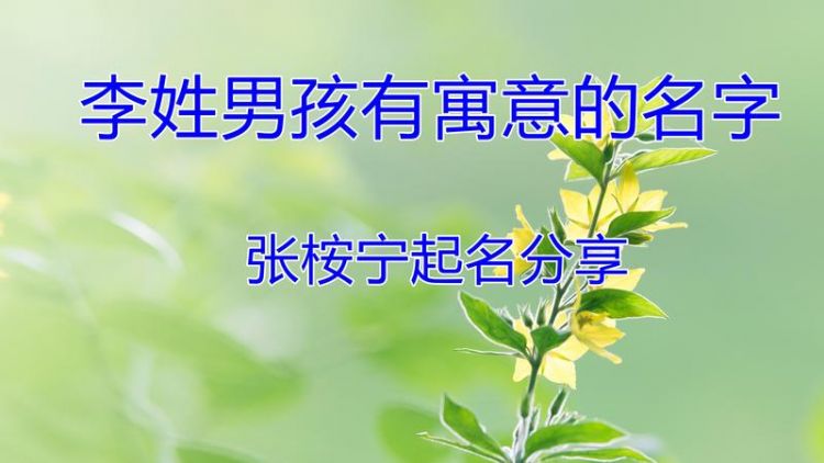 男孩姓马有涵养的名字,马姓男孩起名霸气有涵养的名字大全四个字图4