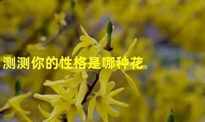 测试你的性格像哪种花,测试你是什么花图3