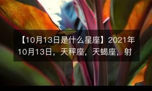 每日星座运势查询202,每日星座运势查询图1