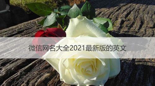 微信网名202最新,2021最流行微信网名图4